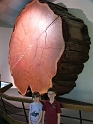 Kids-NYC_AMNH_3-2014 (125)